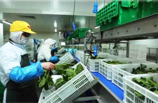 食品廠(chǎng)