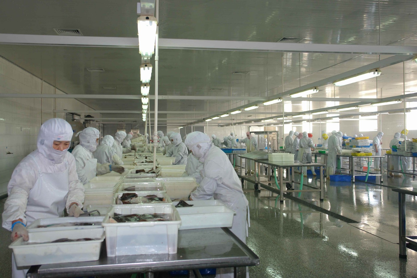 食品廠(chǎng)應用方案